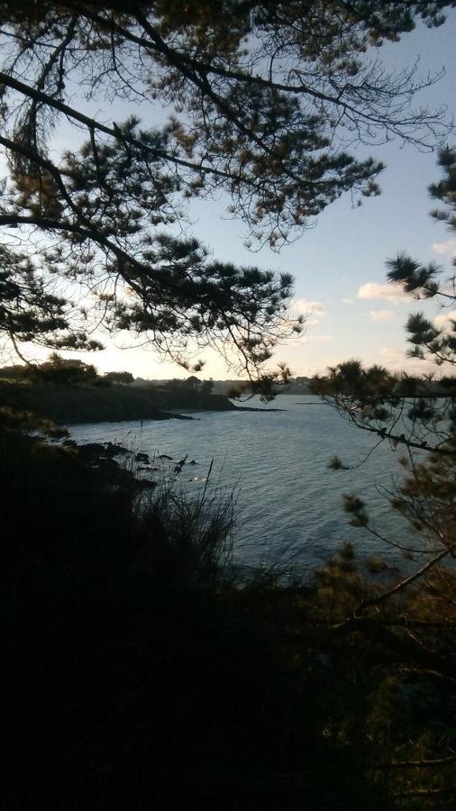 Tente 3 Chambres, Petit Camping Familial Vue Mer Plestin-les-Grèves Eksteriør bilde